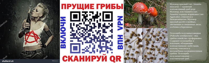 мориарти наркотические препараты  Нарткала  Галлюциногенные грибы прущие грибы 